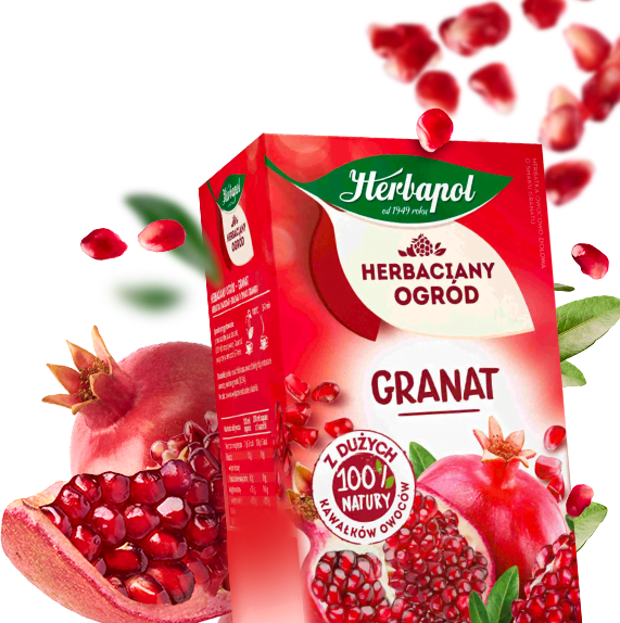 herbaciany ogród granat