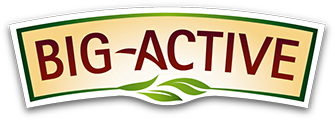 Big-Active logo