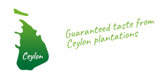 Zielona ikona Ceylon