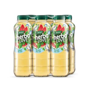 herbaLOVE - White tea, water melon and mint (6 pcs)